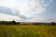 Земельные участки в коттеджном поселке