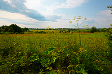 Готовый коттедж на участке: РД2-11