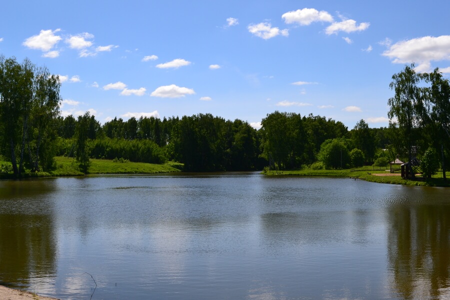 Весна на романовских дачах 2018