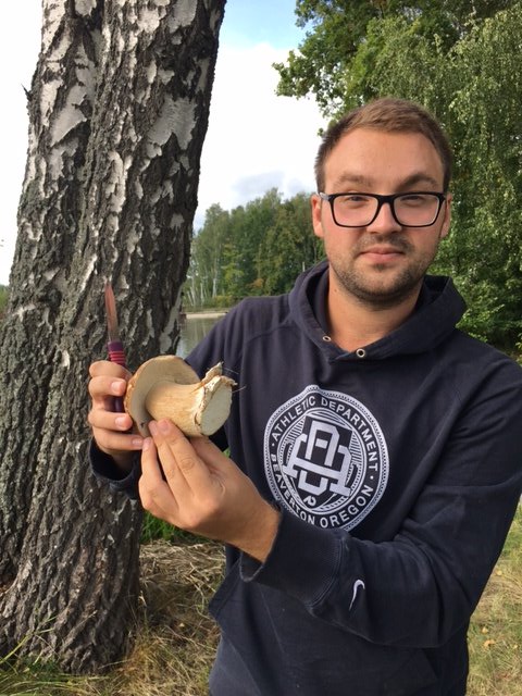 Грибной улов сентябрь 2017