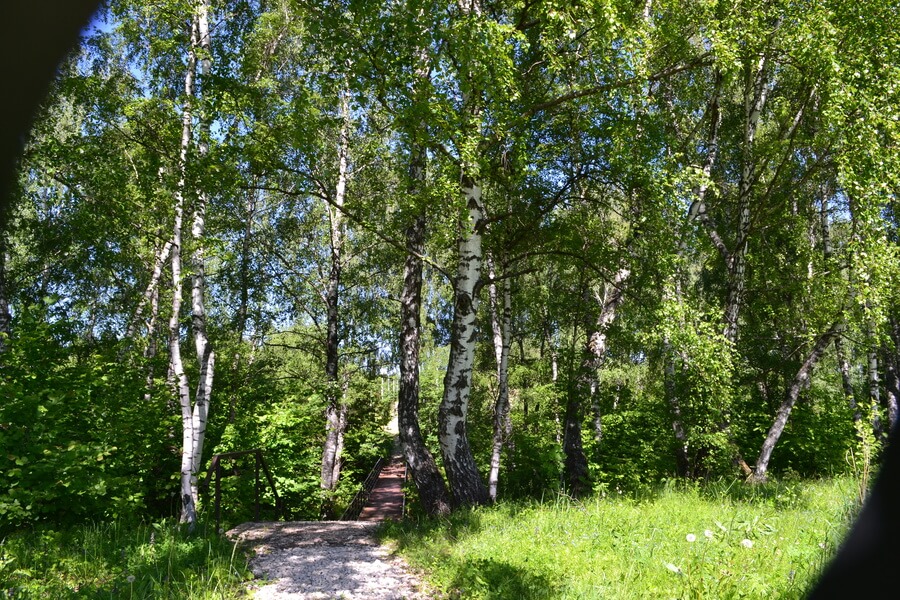 Весна на романовских дачах 2018