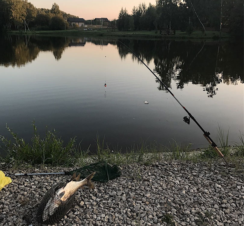 Рыбалка август 2017