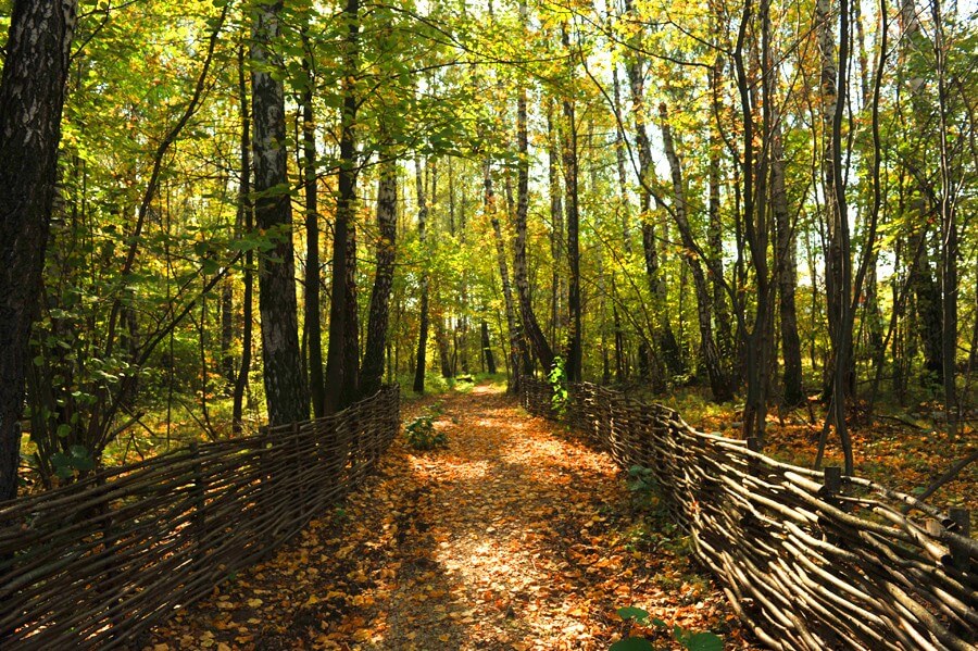 Сентябрь 2012