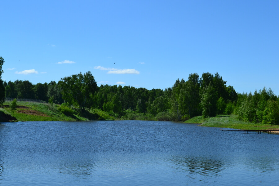Весна на романовских дачах 2018
