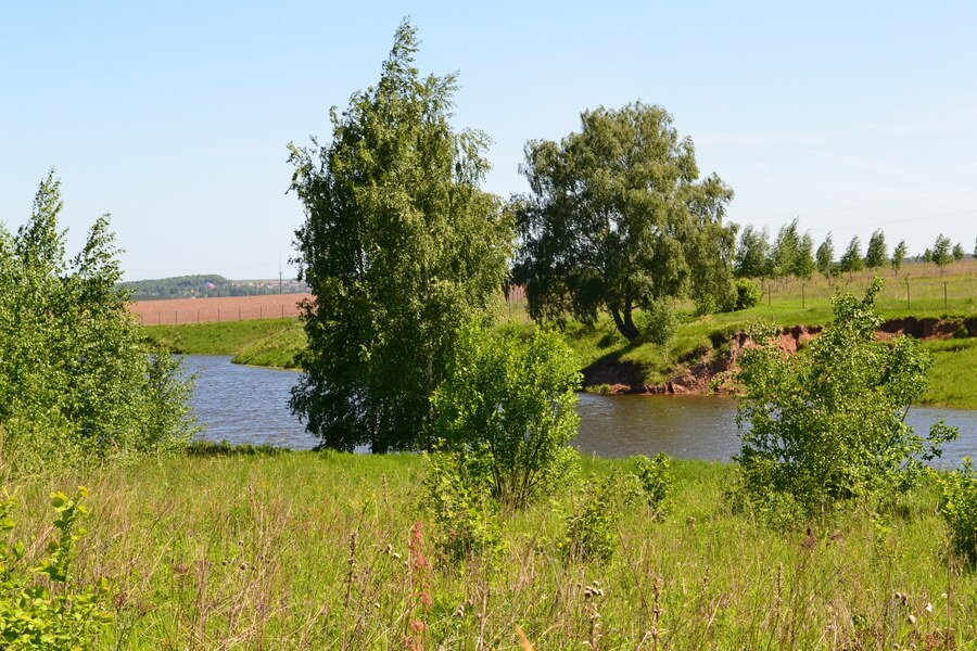 Весна на романовских дачах 2018