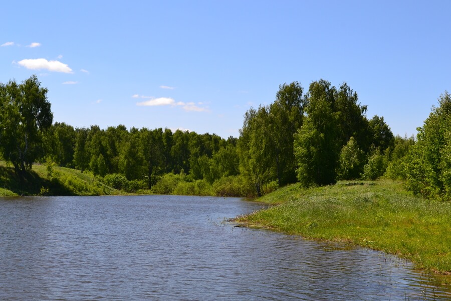 Весна на романовских дачах 2018