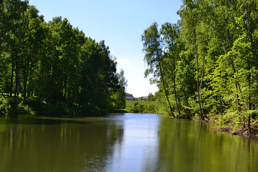 Весна на романовских дачах 2018