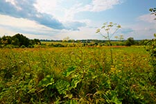 Готовый коттедж на участке: РД2-16