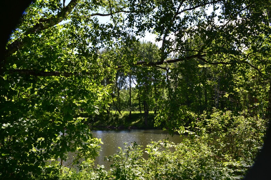 Весна на романовских дачах 2018