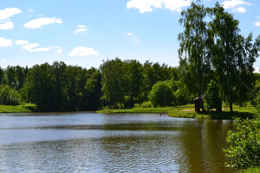 Весна на романовских дачах 2018