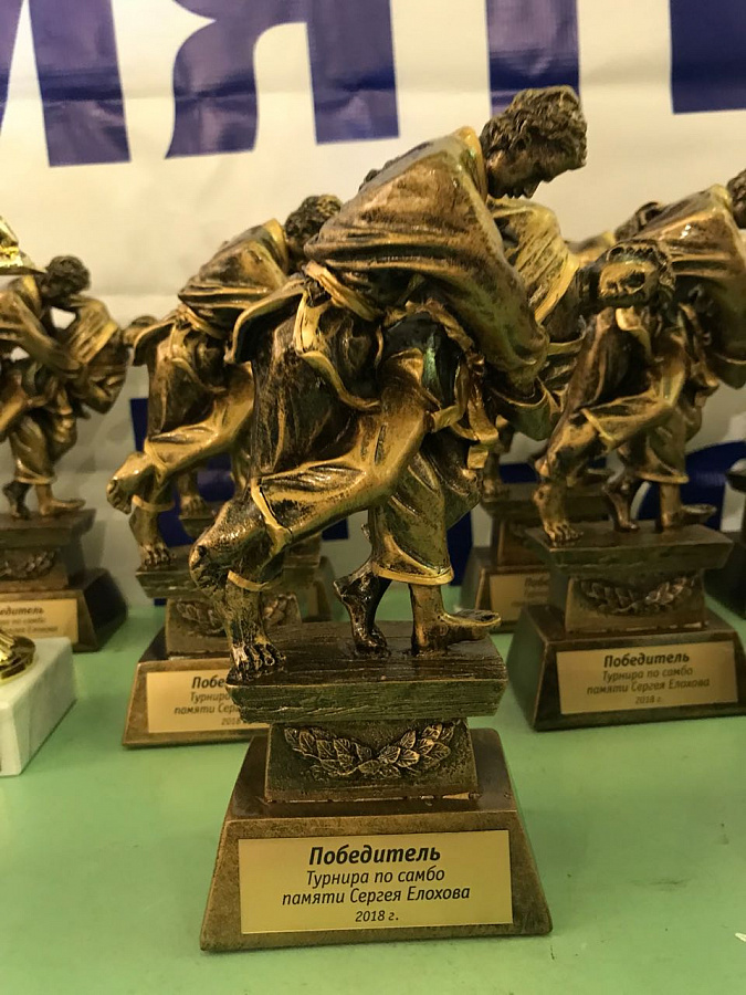 Фото турнира по самбо в память об учредителе поселка «Романовские дачи» 