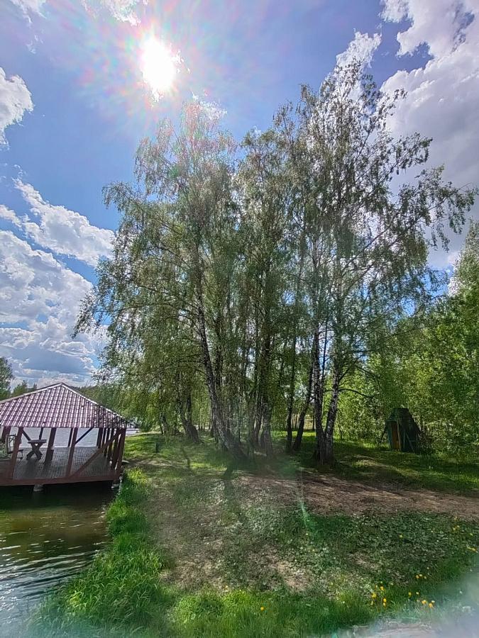 Лето в «Романовских дачах» 2025