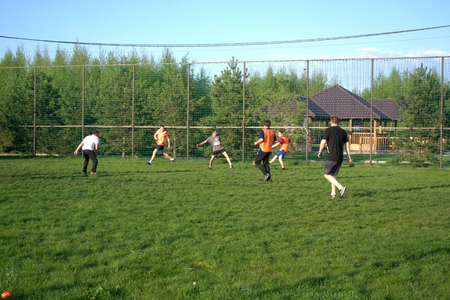 Футбольный сезон 2016