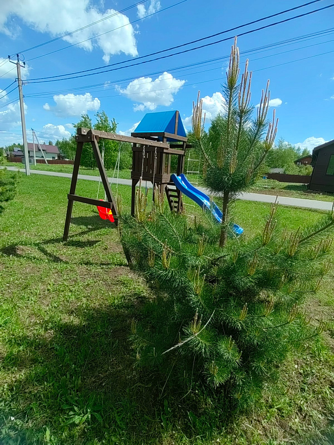 Лето в «Романовских дачах» 2025