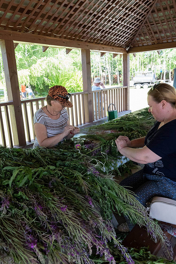 Праздник на Романовских дачах, 2022 год