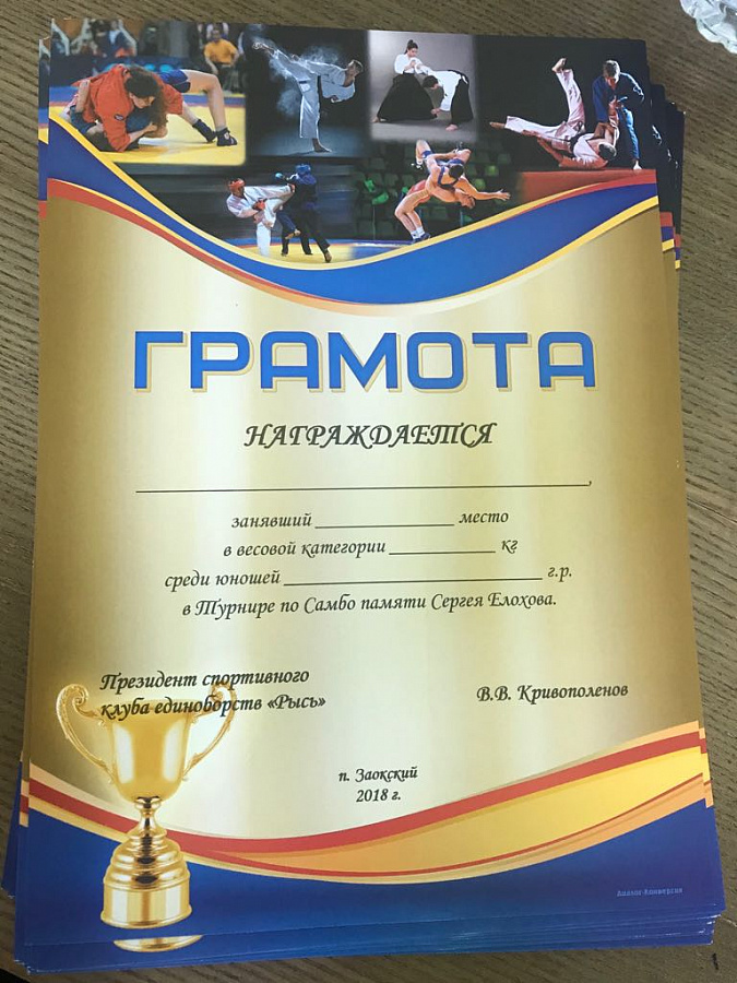 Фото турнира по самбо в память об учредителе поселка «Романовские дачи» 