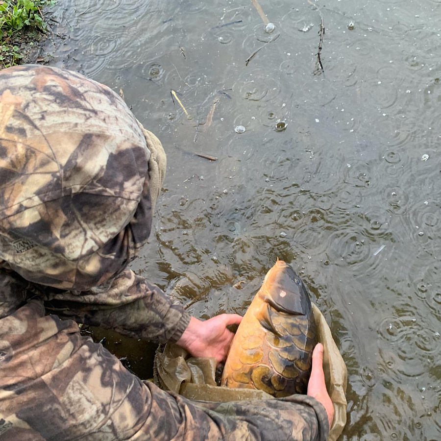 Клуб любителей рыбалки Романовских Дач зарыбили пруд карпами, толстолобиками и другими видами рыб