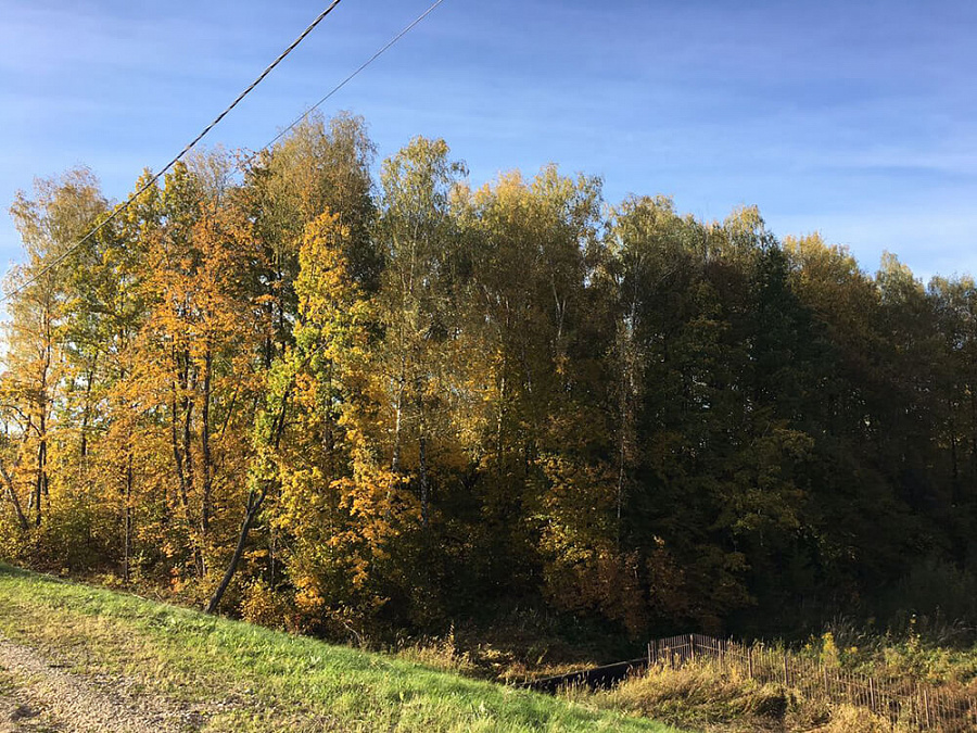 Осень 2016 г. Строительство пруда РД-3